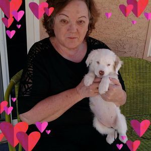 Meet your Posher, Judy